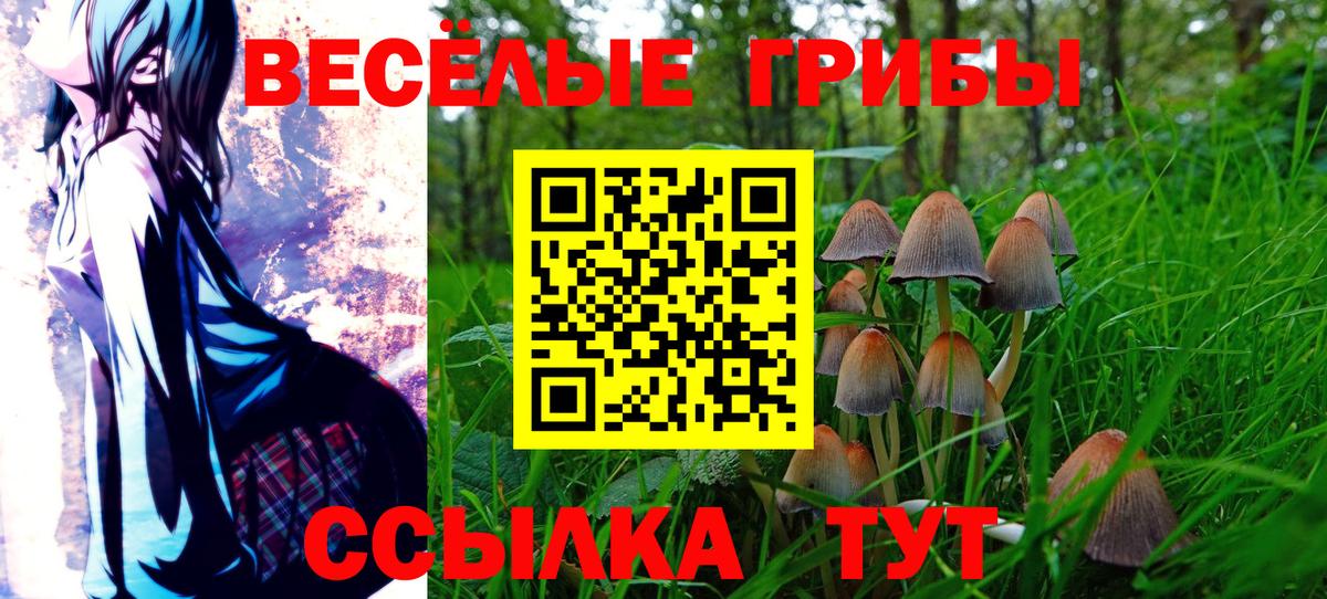 Тавда  Псилоцибиновые грибы Psilocybine cubensis  Вход с VPN 